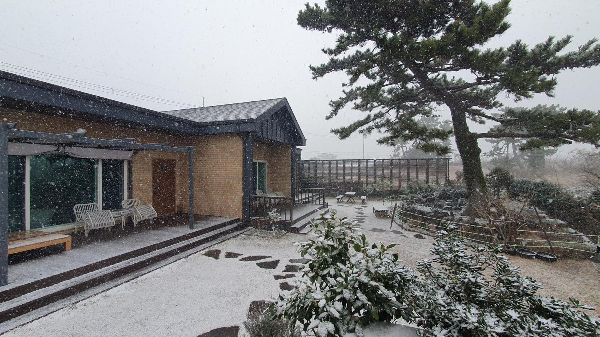Wind Jeju Cafe & Pension ซอกวีโพ ภายนอก รูปภาพ