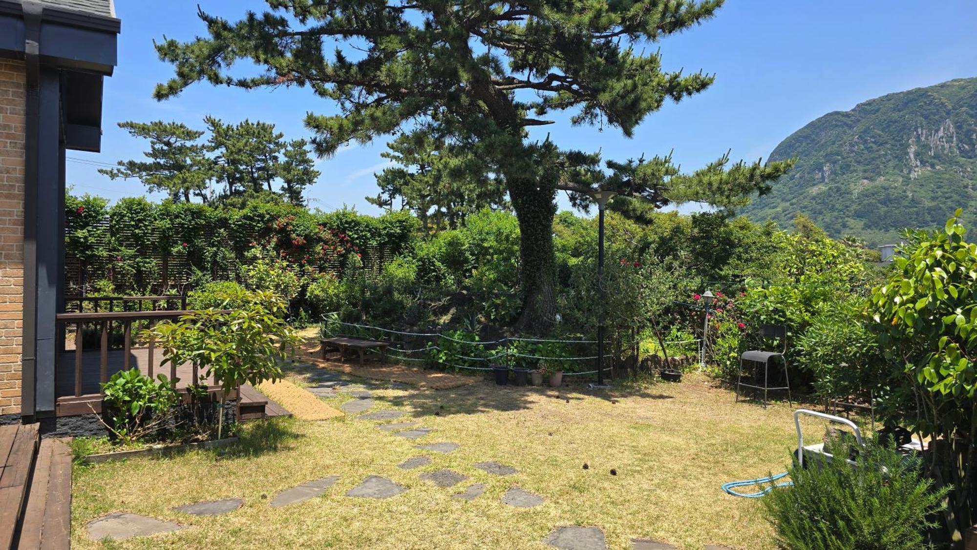 Wind Jeju Cafe & Pension ซอกวีโพ ภายนอก รูปภาพ