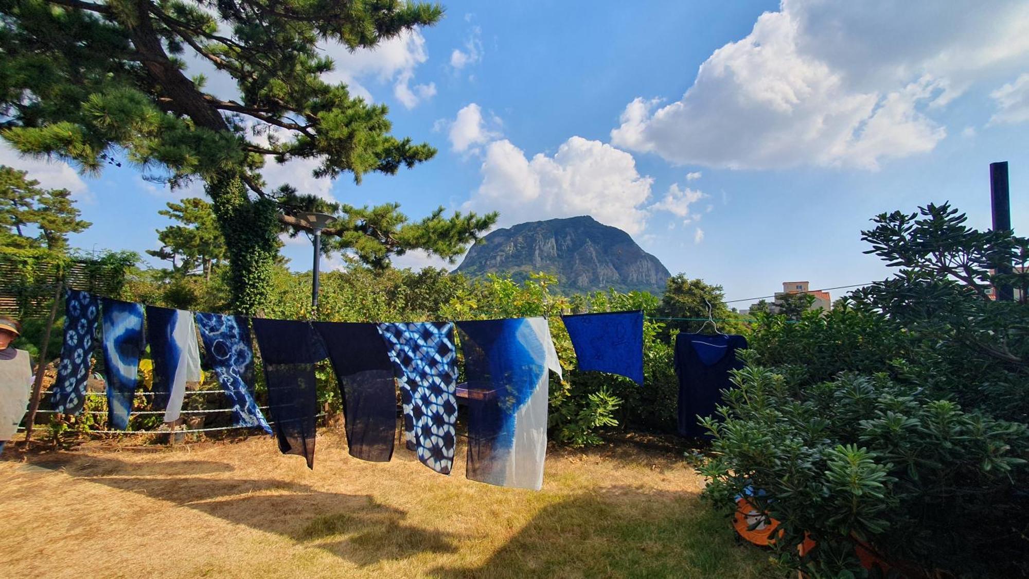 Wind Jeju Cafe & Pension ซอกวีโพ ภายนอก รูปภาพ