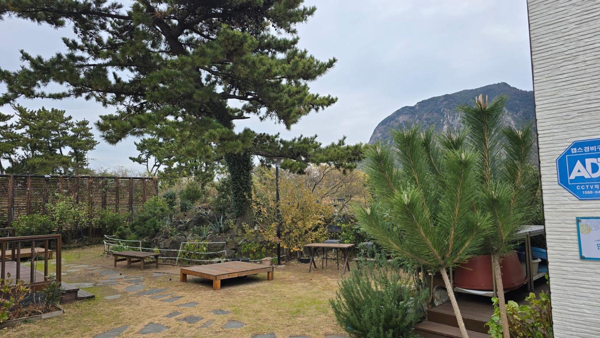 Wind Jeju Cafe & Pension ซอกวีโพ ภายนอก รูปภาพ