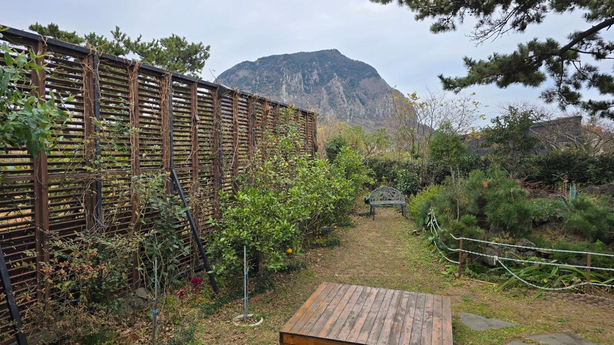 Wind Jeju Cafe & Pension ซอกวีโพ ภายนอก รูปภาพ