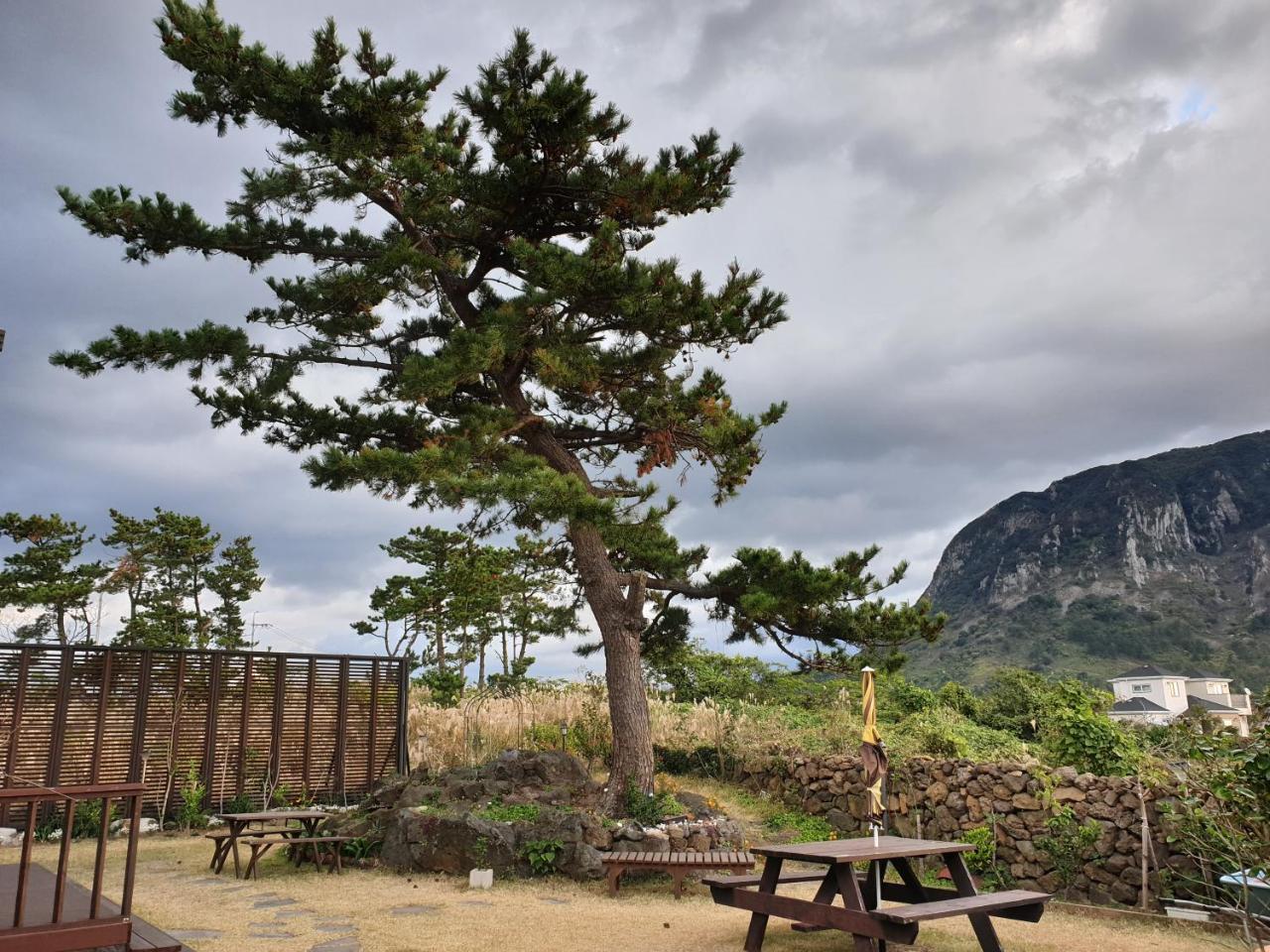 Wind Jeju Cafe & Pension ซอกวีโพ ภายนอก รูปภาพ