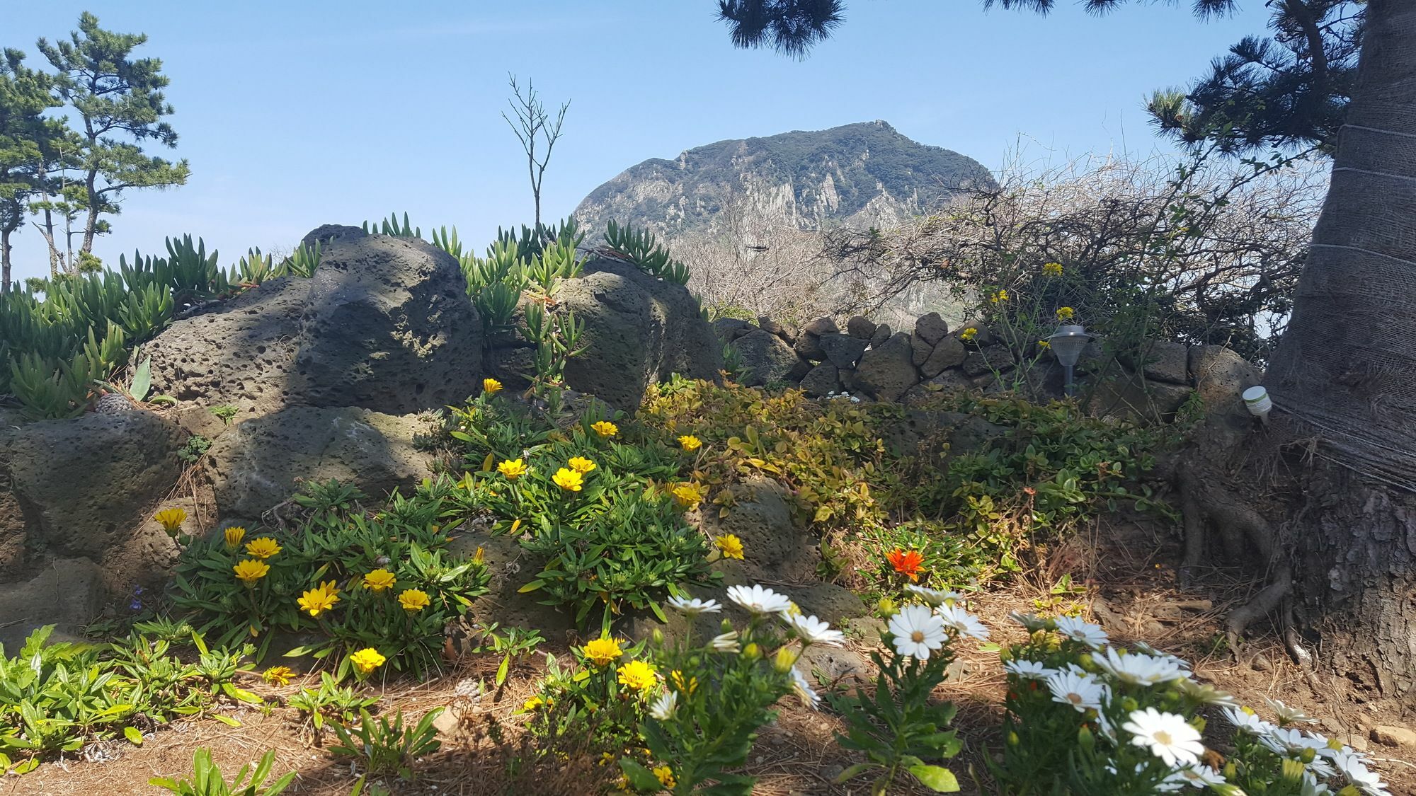 Wind Jeju Cafe & Pension ซอกวีโพ ภายนอก รูปภาพ