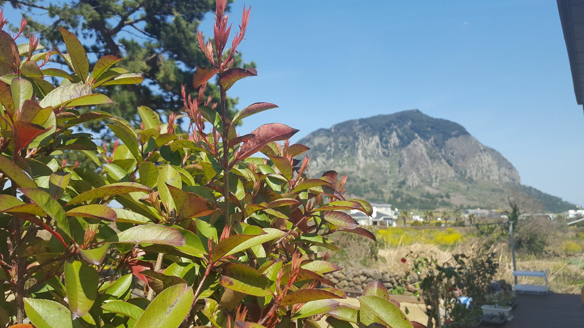 Wind Jeju Cafe & Pension ซอกวีโพ ภายนอก รูปภาพ