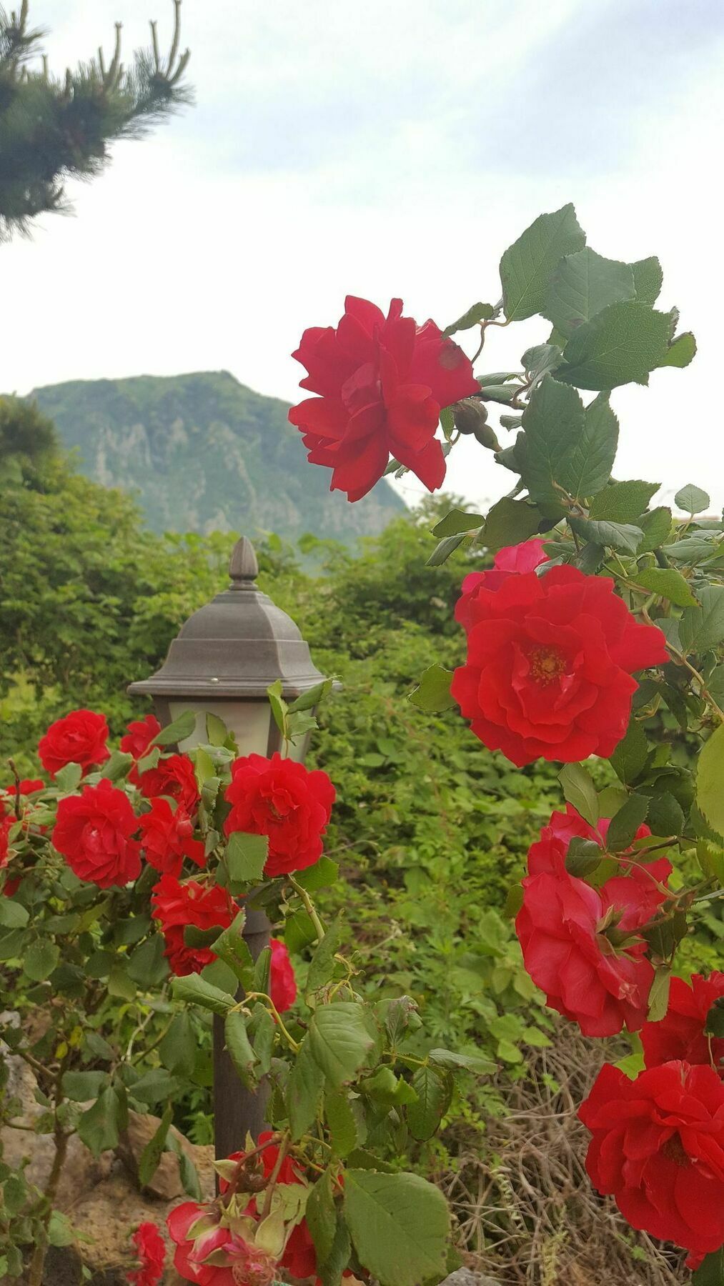 Wind Jeju Cafe & Pension ซอกวีโพ ภายนอก รูปภาพ