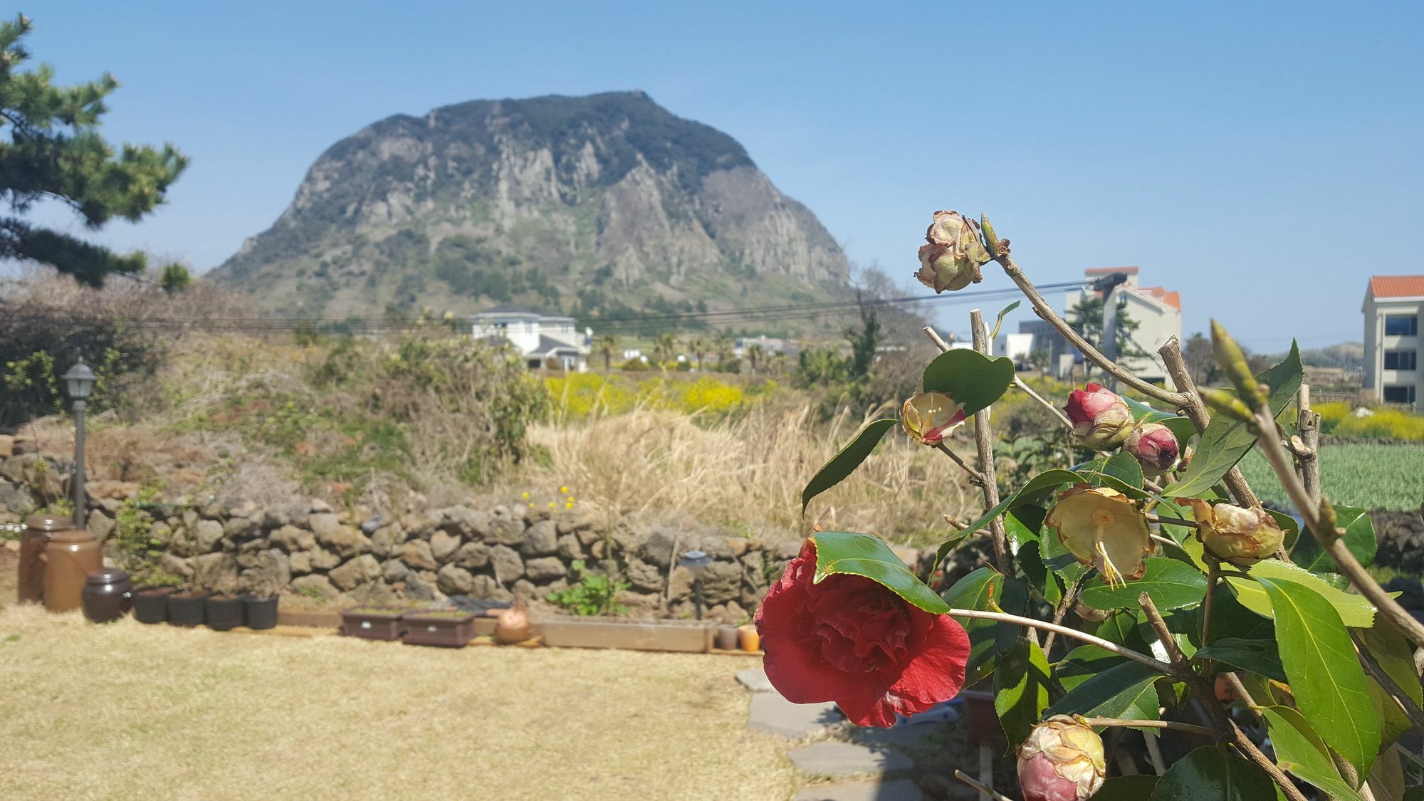 Wind Jeju Cafe & Pension ซอกวีโพ ภายนอก รูปภาพ